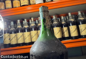 imagem_5