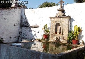 imagem_18