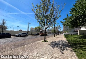 imagem_17