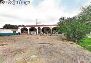 imagem_12