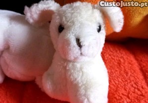 imagem_1