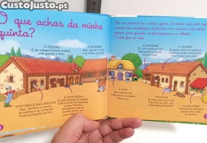 imagem_2