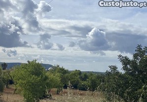 imagem_14