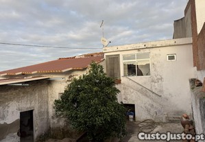 imagem_20