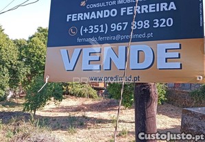 imagem_12