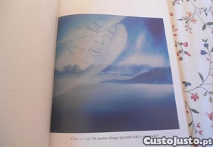 imagem_8