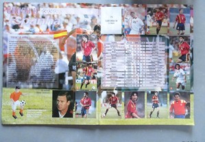 imagem_6