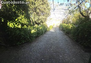 imagem_32