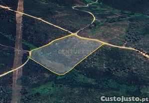 Terreno Rústico 14 000 m² em Paul