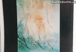 imagem_6