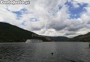 imagem_22