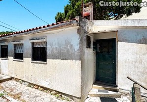 imagem_29