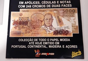 imagem_8