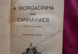 imagem_4