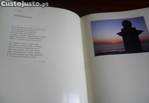 imagem_9