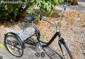 Bicicleta Triciclo Adulto