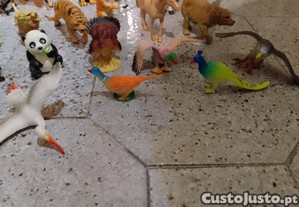 imagem_7
