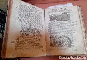 imagem_1