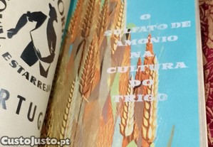 imagem_7