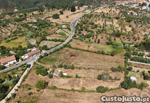 imagem_3
