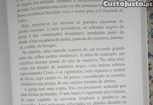 imagem_7