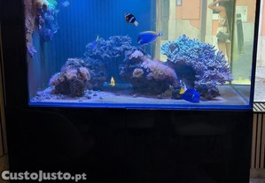 Aqurio + Sump + Deposito + Mvel