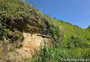 imagem_23