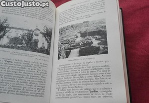 imagem_7