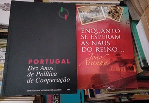 imagem_2