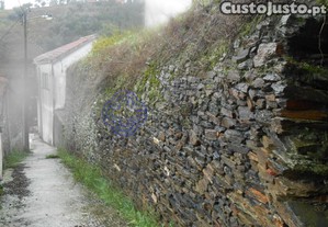 imagem_38