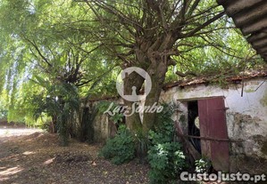 imagem_7