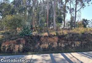 Terreno para construção em Souto da Carpalhosa e Ortigosa de 2154,00 m²
