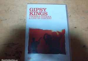 dvd musical gipsy king tierra cigana & live in concert