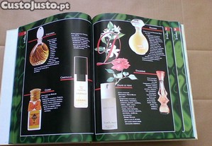 imagem_5
