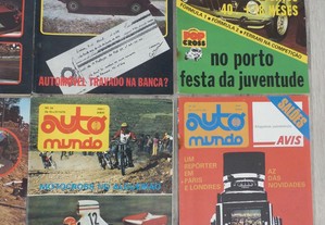 imagem_3