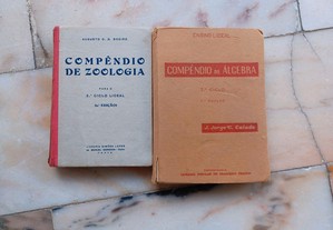 De Augusto O.G. Soeiro e J. Jorge G. Calado