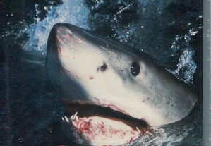 DVD-Deixem Viver O Grande Tubarão Branco - Novo/Selado