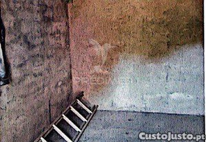 imagem_29