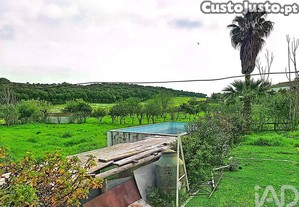 imagem_29