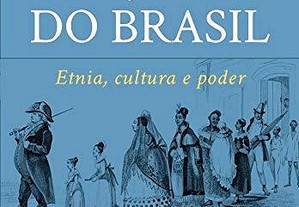 Formação social do Brasil: etnia, cultura e poder