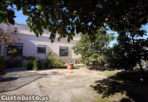 imagem_26
