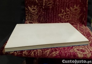 imagem_8