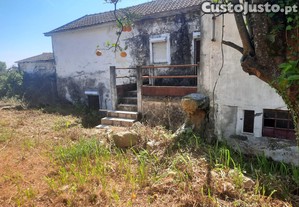 imagem_15
