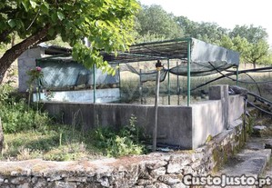 imagem_21
