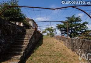 imagem_17