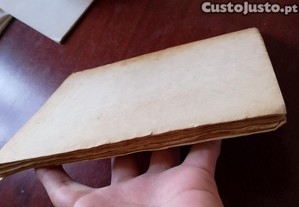 imagem_7