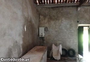 imagem_10