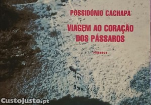 imagem_1