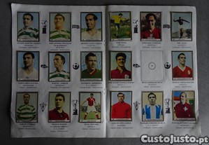imagem_3