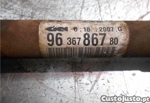 imagem_5